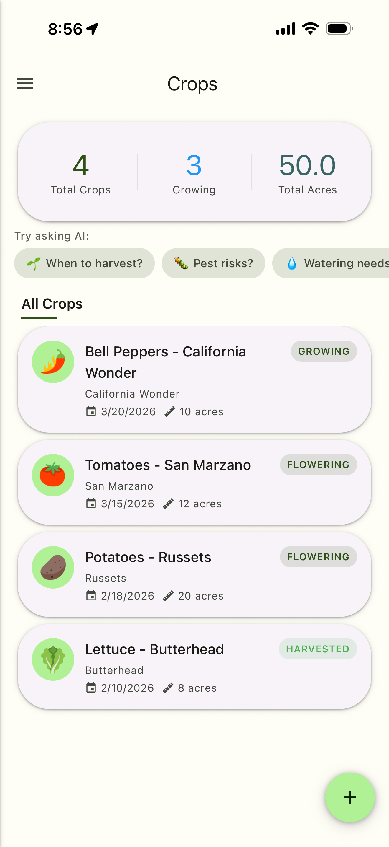 Agrum AI crop and field tracking screen showing planting schedules and harvest countdown